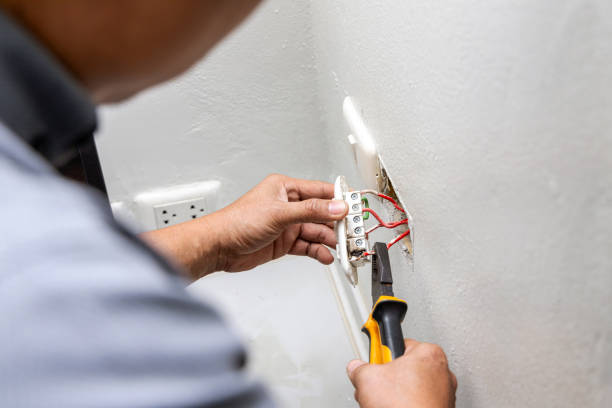 Best Electric Panel Repair  in Fairfield Glade, TN